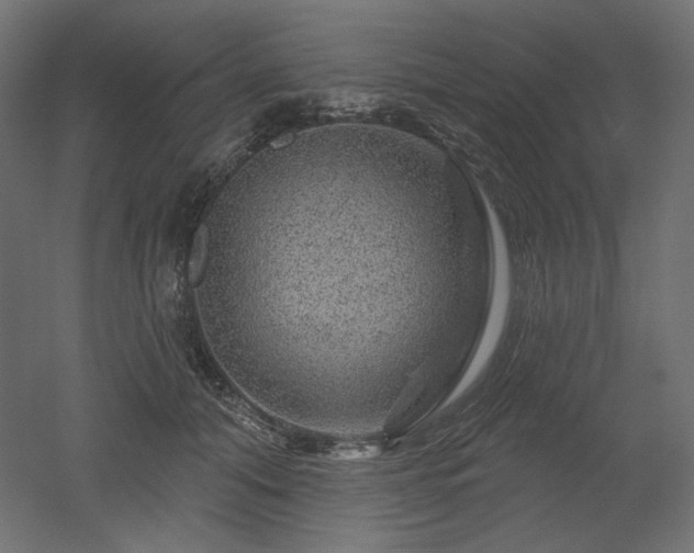 X0000052640608200507011348