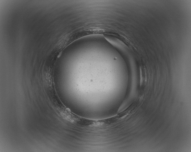 X0000052640609200507011348