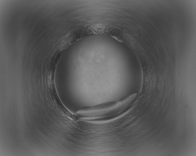 X0000052640610200507011348