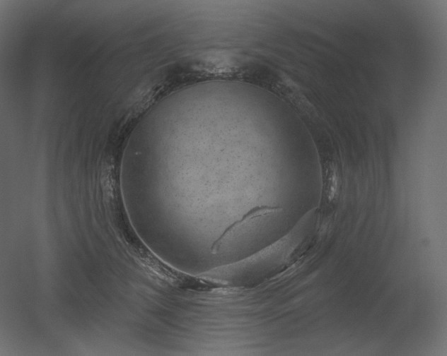 X0000052640612200507011348