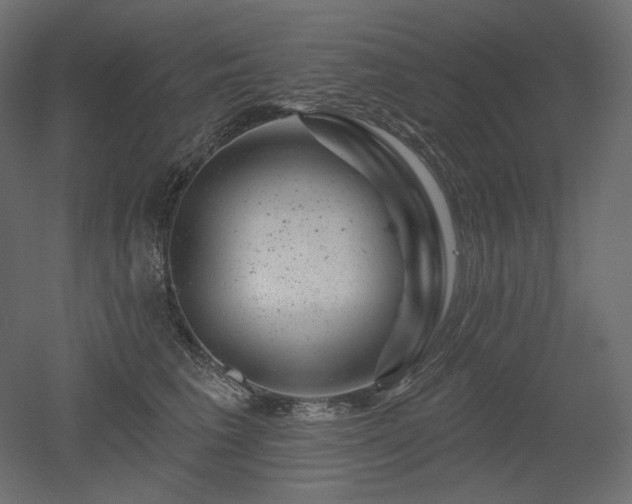 X0000052640613200507011348