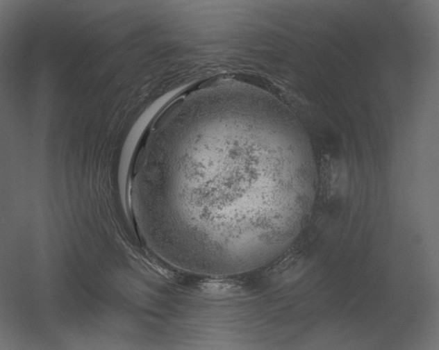 X0000052640614200507011348