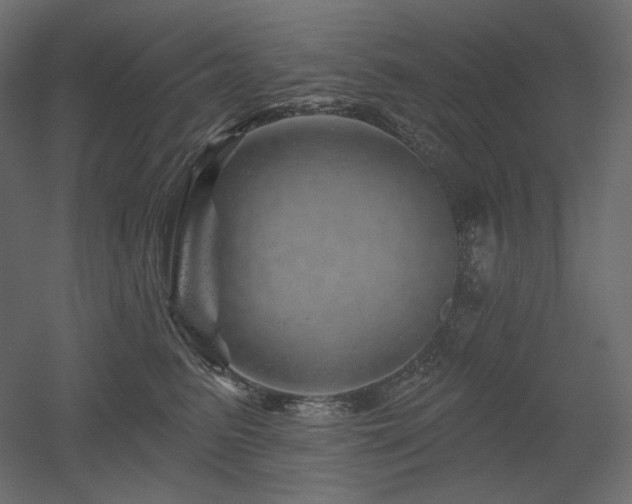 X0000052640615200507011348