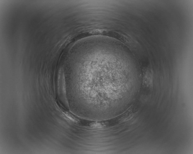 X0000052640616200507011348