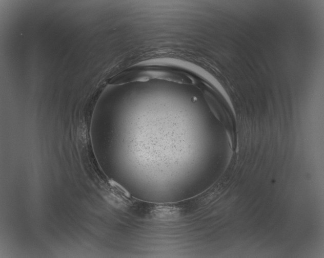 X0000052640617200507011348