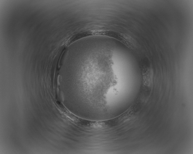 X0000052640618200507011348