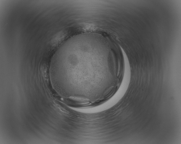 X0000052640619200507011348