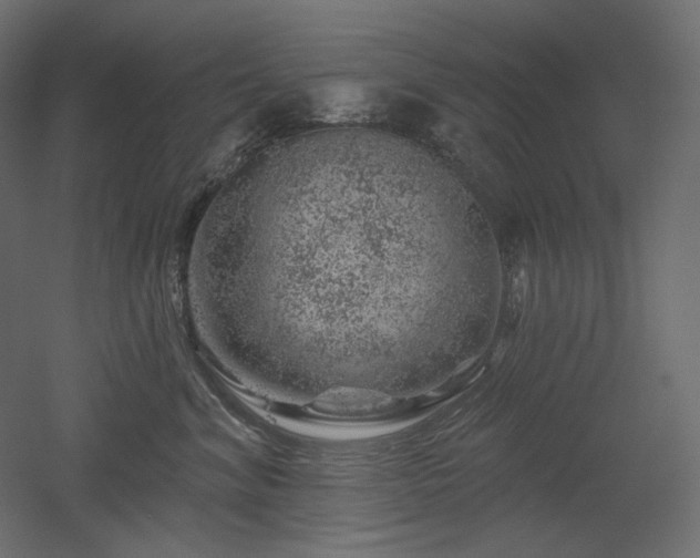 X0000052640620200507011348