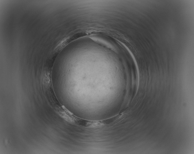 X0000052640621200507011348