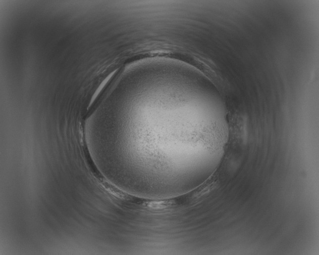 X0000052640622200507011348