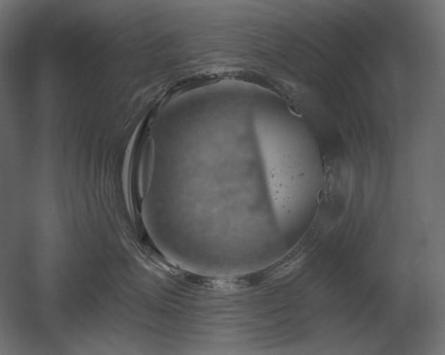 X0000052640623200507011348