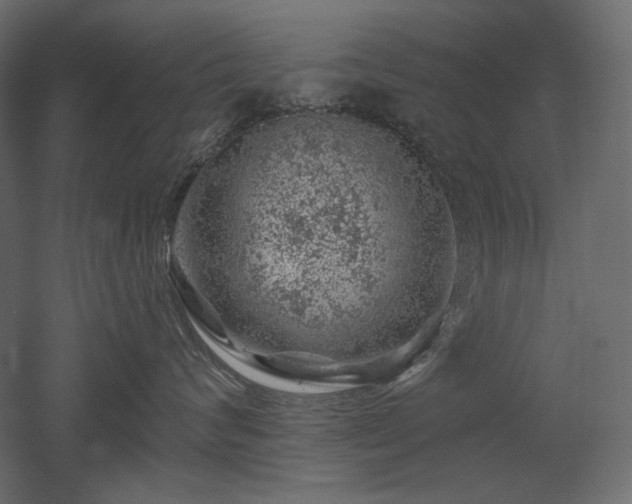 X0000052640624200507011348