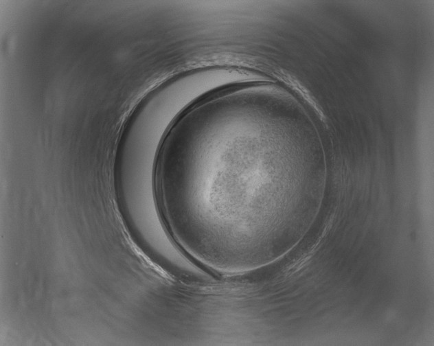 X0000052640625200507011347