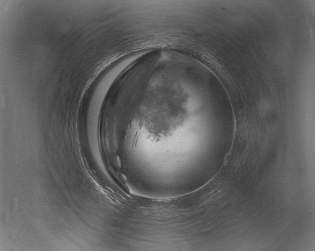 X0000052640626200507011347