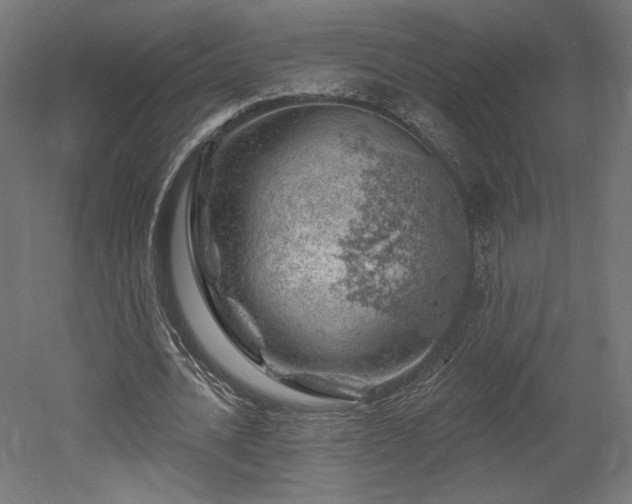 X0000052640628200507011347