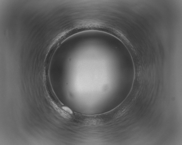 X0000052640629200507011347