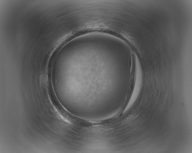 X0000052640630200507011347