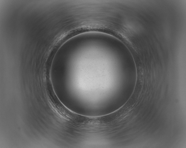 X0000052640631200507011347