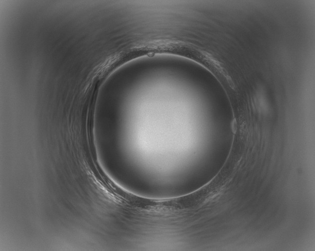 X0000052640633200507011347