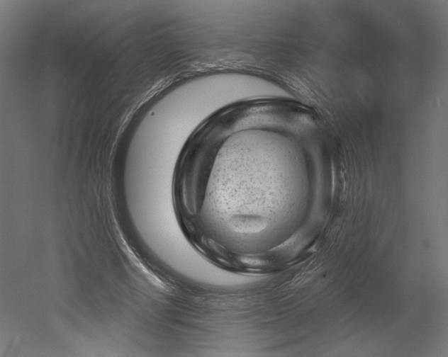 X0000052640634200507011347