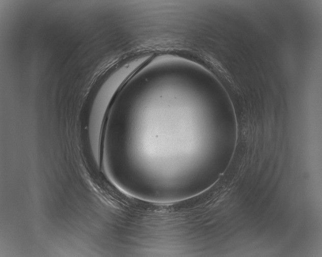 X0000052640635200507011347