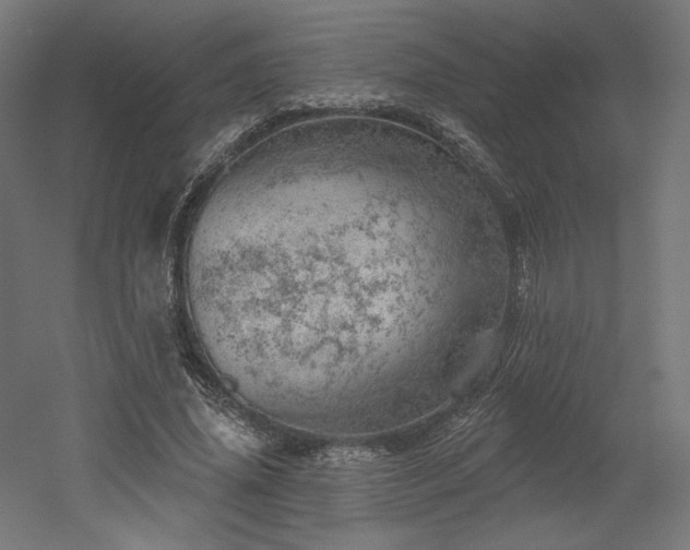 X0000052640636200507011347