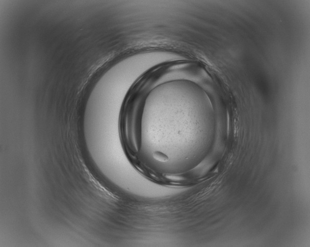 X0000052640637200507011347