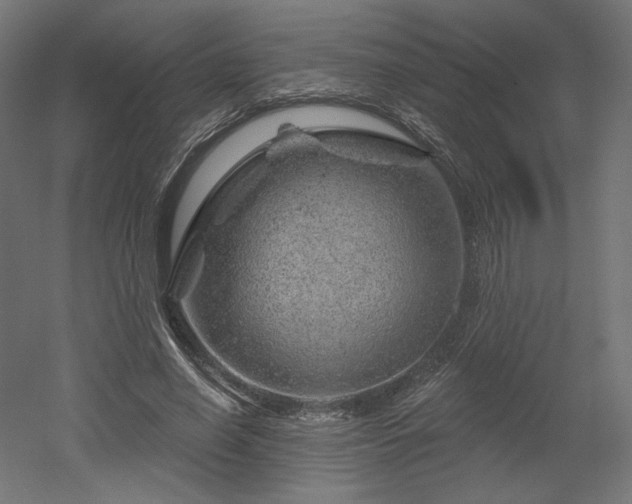 X0000052640638200507011347