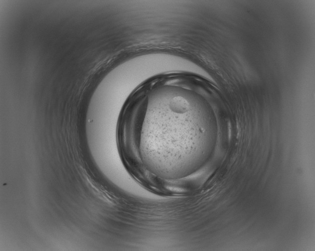 X0000052640639200507011347