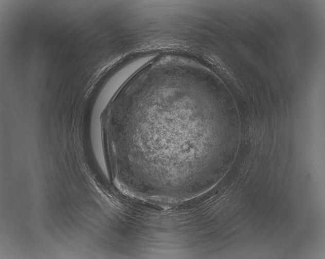 X0000052640640200507011347