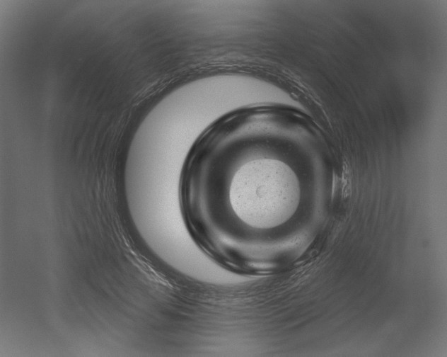 X0000052640641200507011347