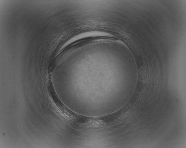 X0000052640642200507011347