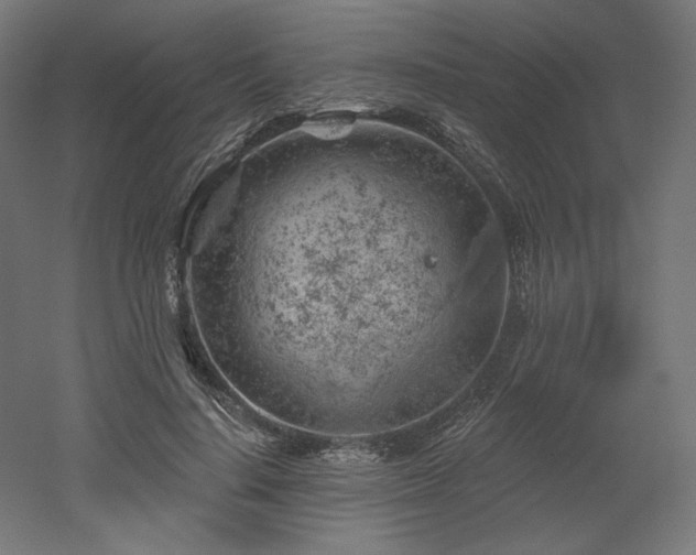 X0000052640644200507011347