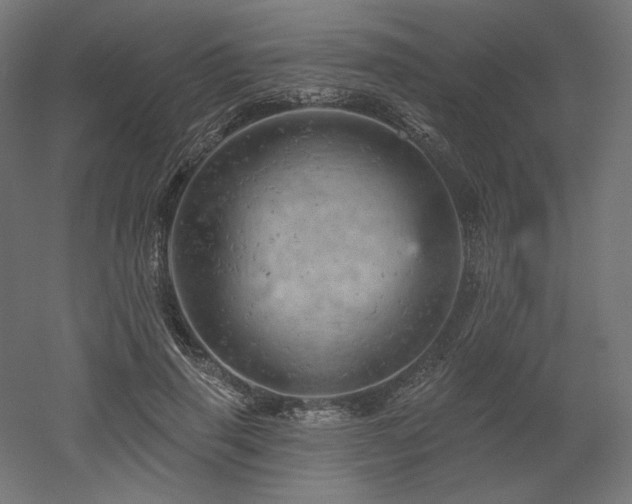 X0000052640645200507011347