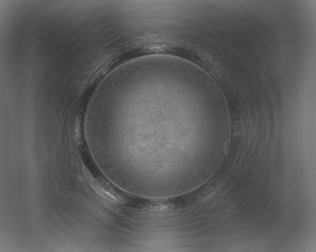 X0000052640646200507011347