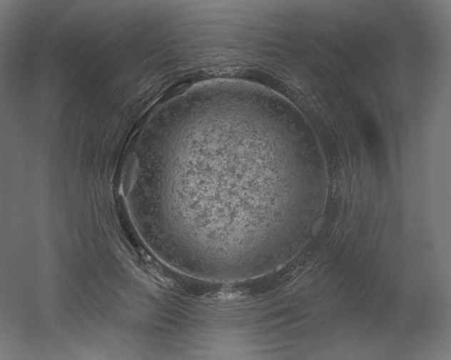 X0000052640647200507011347