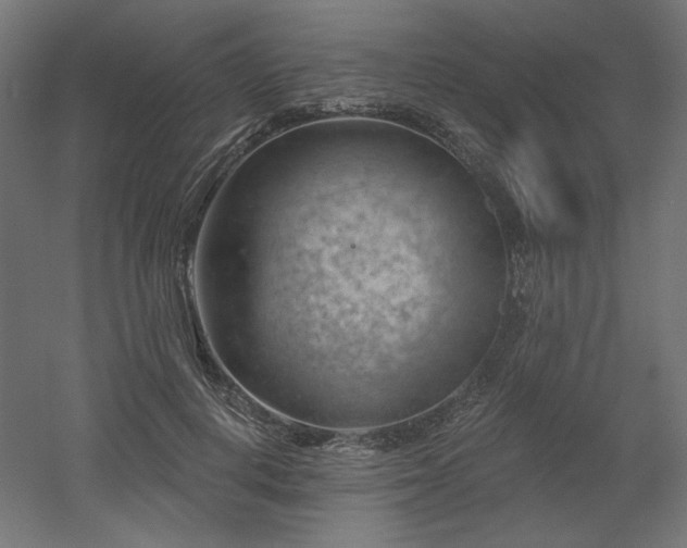 X0000052640648200507011347