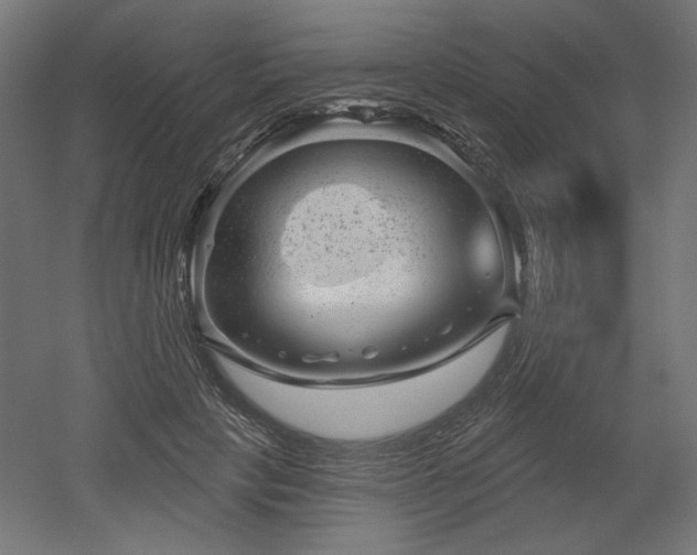 X0000052640649200507011347