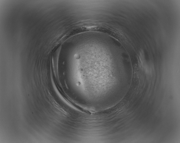 X0000052640650200507011347