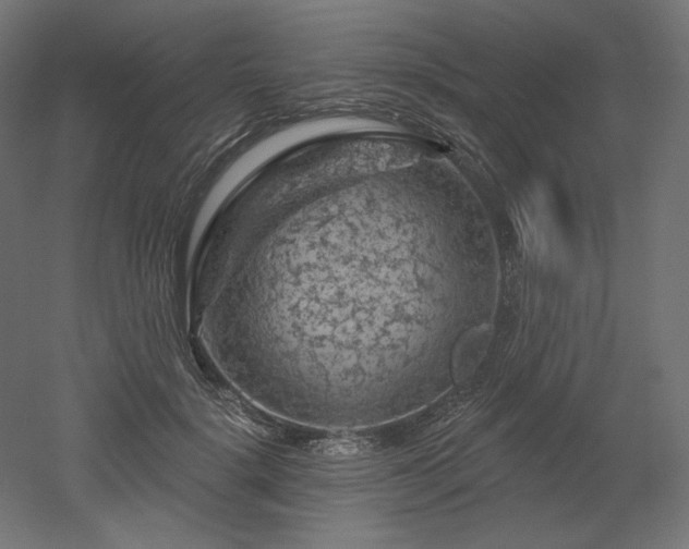 X0000052640652200507011347