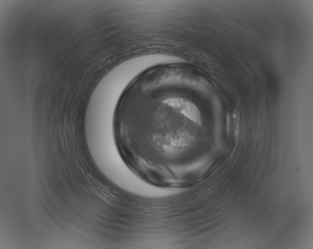 X0000052640653200507011347