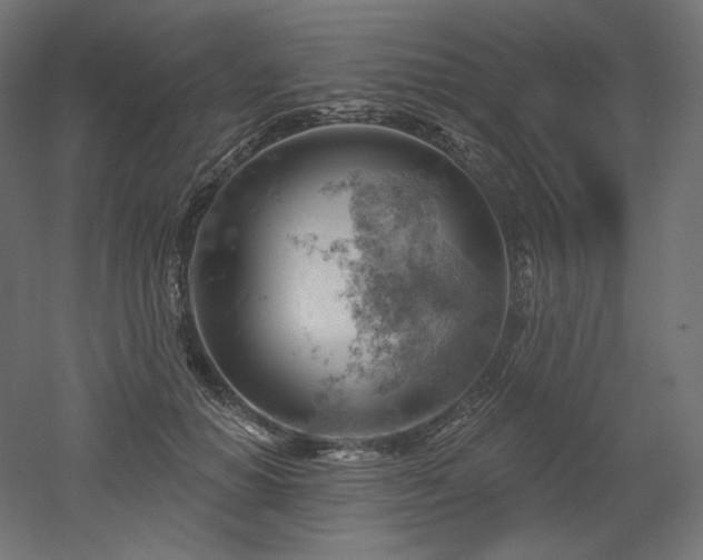 X0000052640654200507011347