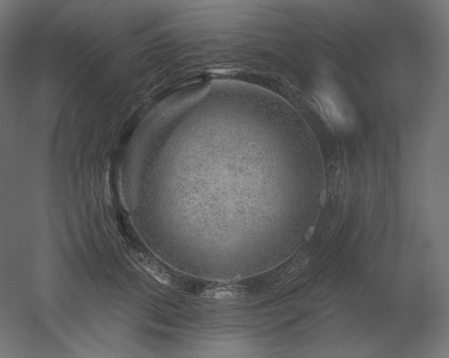 X0000052640655200507011347