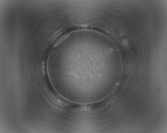 X0000052640656200507011347