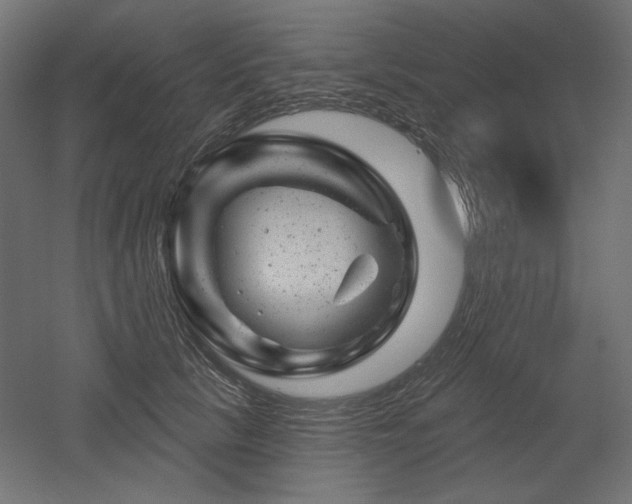 X0000052640657200507011347