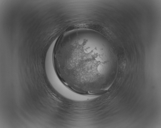 X0000052640658200507011347