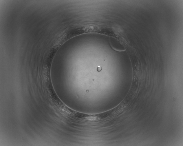 X0000052640659200507011347