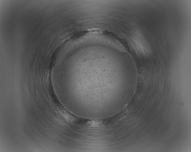 X0000052640660200507011347