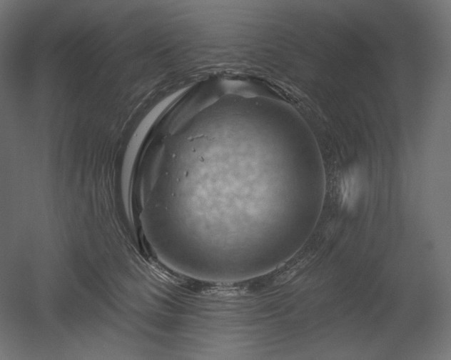 X0000052640661200507011347