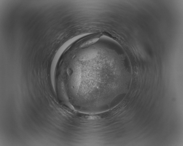 X0000052640663200507011348